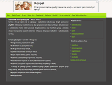 Tablet Screenshot of e-fora.pl
